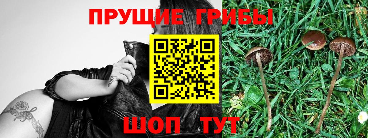 наркотики  Псилоцибиновые грибы прущие грибы  Вход с VPN  Ханты-Мансийск  Псилоцибиновые грибы MAGIC MUSHROOMS 