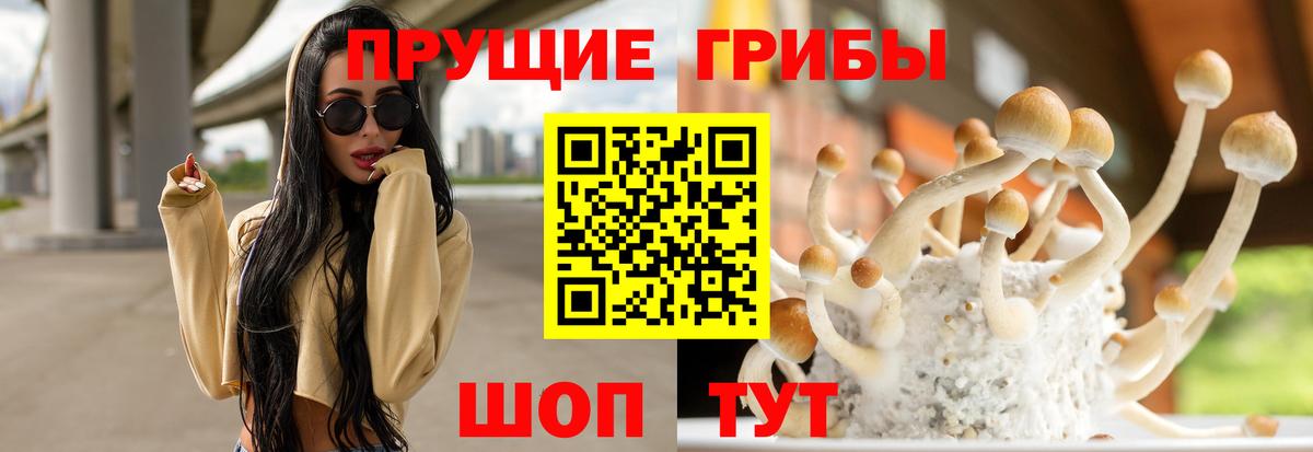 Галлюциногенные грибы GOLDEN TEACHER Ханты-Мансийск